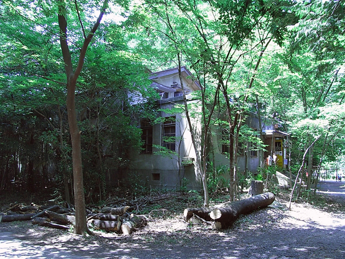 仲田の森　桑ハウス2007　夏