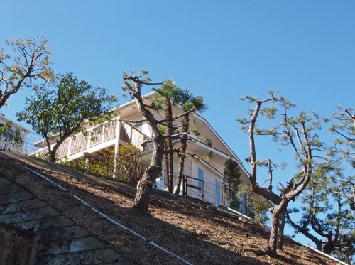 丘陵に建つ洋風住宅／リノベーション