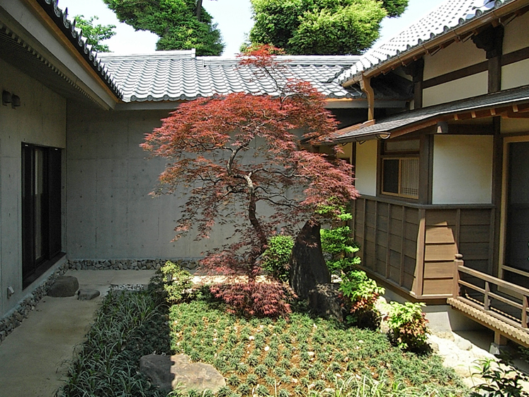 客殿と本堂とつなぐ中庭