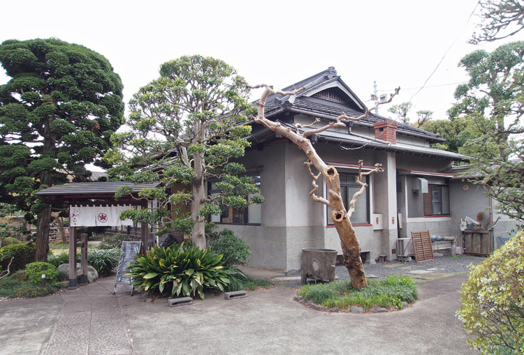 府中　おもだか